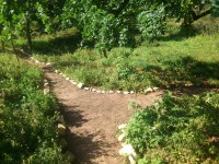 /album/fotogalerie/dsc-0693-jpg/