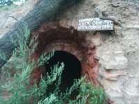 /album/fotogalerie/dsc-0841-jpg/