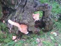 /album/fotogalerie/dsc-1060-jpg/