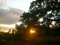 /album/fotogalerie/dsc-1072-jpg/