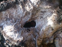 /album/fotogalerie/dsc-1140-jpg/