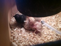 /album/fotogalerie/dsc-1201-jpg/