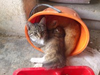 /album/fotogalerie/dsc-1214-jpg/