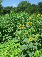 /album/fotogalerie/a13653215-1021658767889857-8649035086067774825-o-jpg/