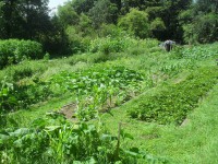 /album/fotogalerie/a13653298-1021657441223323-6342279983382916146-o-jpg/