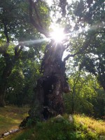 /album/fotogalerie/dsc-1164-jpg/