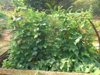 /album/fotogalerie/dsc-1170-jpg/