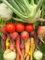 /album/fotogalerie/dsc-1623-jpg/