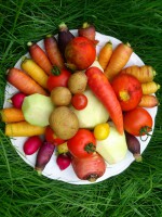 /album/fotogalerie/dsc-1625-jpg/