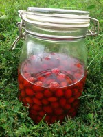 /album/fotogalerie/dsc-1630-jpg/