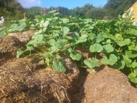 /album/fotogalerie/dsc-1668-jpg/