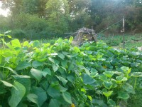 /album/fotogalerie/dsc-1679-jpg/