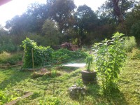 /album/fotogalerie/dsc-1691-jpg/