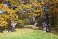 /album/fotogalerie/dsc-2651-jpg/