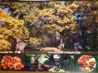 /album/fotogalerie/dsc-3504-jpg/