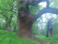 /album/fotogalerie/dsc-3694-jpg/