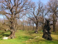 /album/fotogalerie/dsc-4106-jpg/