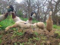 /album/fotogalerie/dsc-4229-jpg/