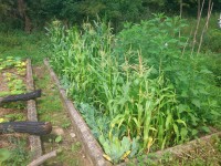 /album/fotogalerie/dsc-4953-jpg/