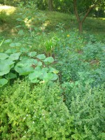 /album/fotogalerie/dsc-4987-jpg/