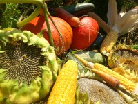 /album/fotogalerie/dsc-5581-jpg/