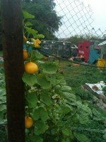 /album/fotogalerie/dsc-5711-jpg/