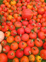 /album/fotogalerie/dsc-6513-jpg/