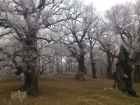 /album/fotogalerie/dsc-7137-jpg/