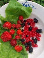 /album/fotogalerie/dsc-4590-jpg/