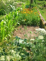 /album/fotogalerie/dsc-4717-jpg/