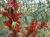 /album/fotogalerie/dsc-6938-jpg/