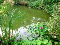 /album/fotogalerie/dsc-7524x-jpg/