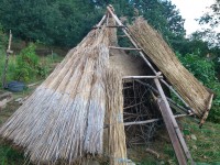 /album/fotogalerie/dsc-7671-jpg/