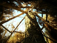 /album/fotogalerie/dsc-7739-jpg/