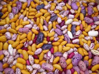 /album/fotogalerie/dsc-7790-jpg/