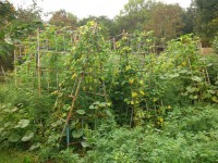 /album/fotogalerie/dsc-7793-jpg/