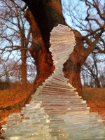 /album/fotogalerie/dsc-8823-jpg/