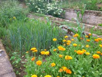 /album/fotogalerie/dsc-9249-jpg/