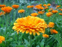 /album/fotogalerie/dsc-9251-jpg/