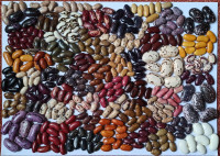 /album/fotogalerie/img-20211114-132918-jpg/